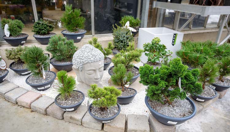 Objets de décoration Longwy